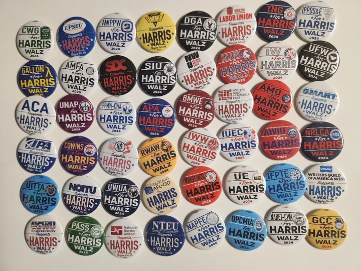 Individual UNIONs for HARRIS WALZ set of 48 | 2.25" Button