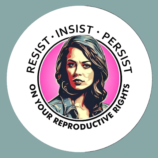 Resist Insist Persist Magnet's